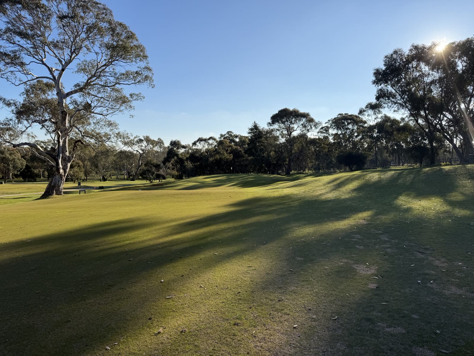 The opening hole at Belvoir Park, a par 4 bending to the right.