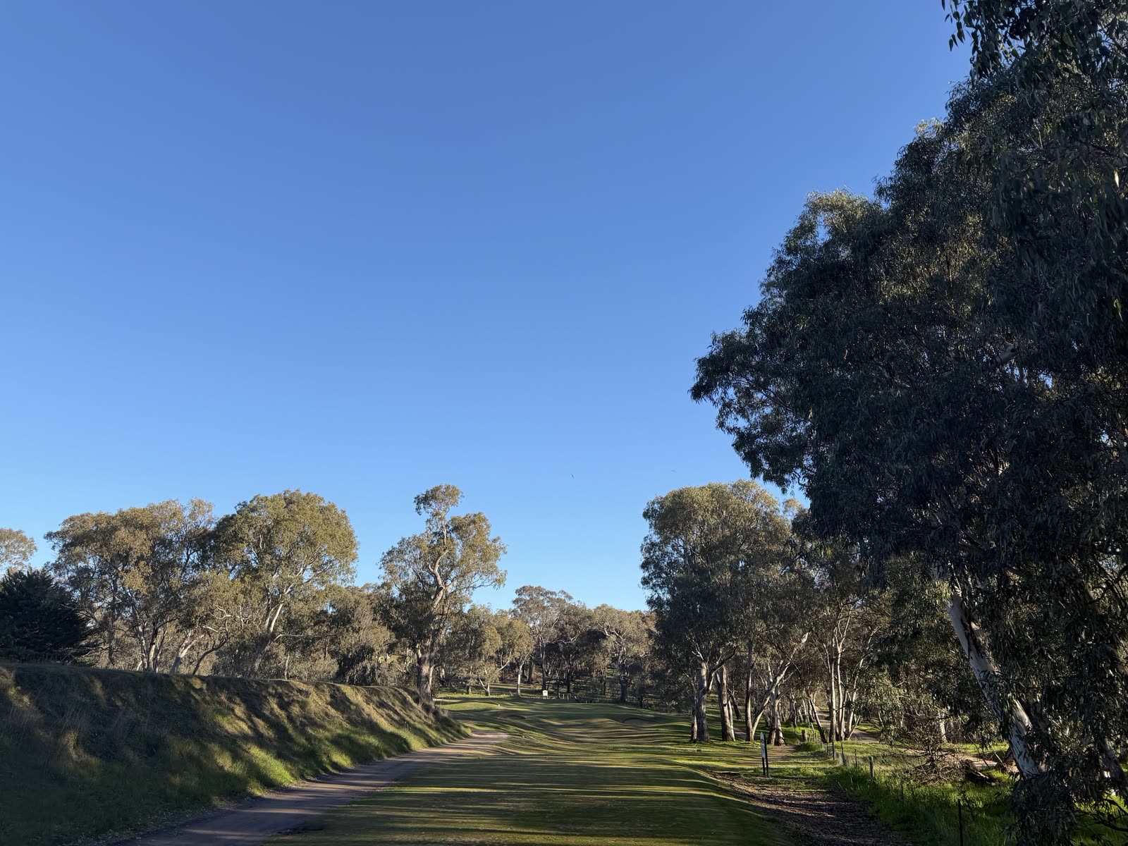 Hole 3 at Belvoir Park Golf Club.