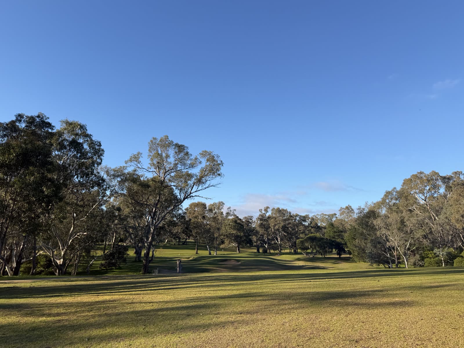 Hole 4 at Belvoir Park Golf Club.