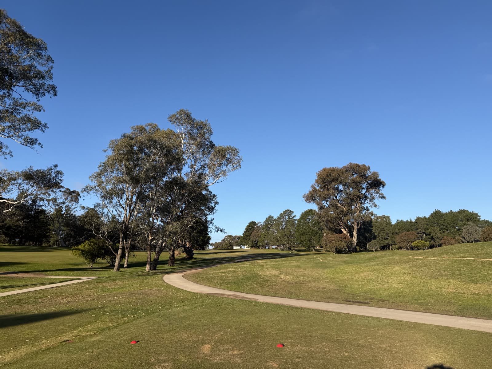 Hole 6 at Belvoir Park Golf Club.