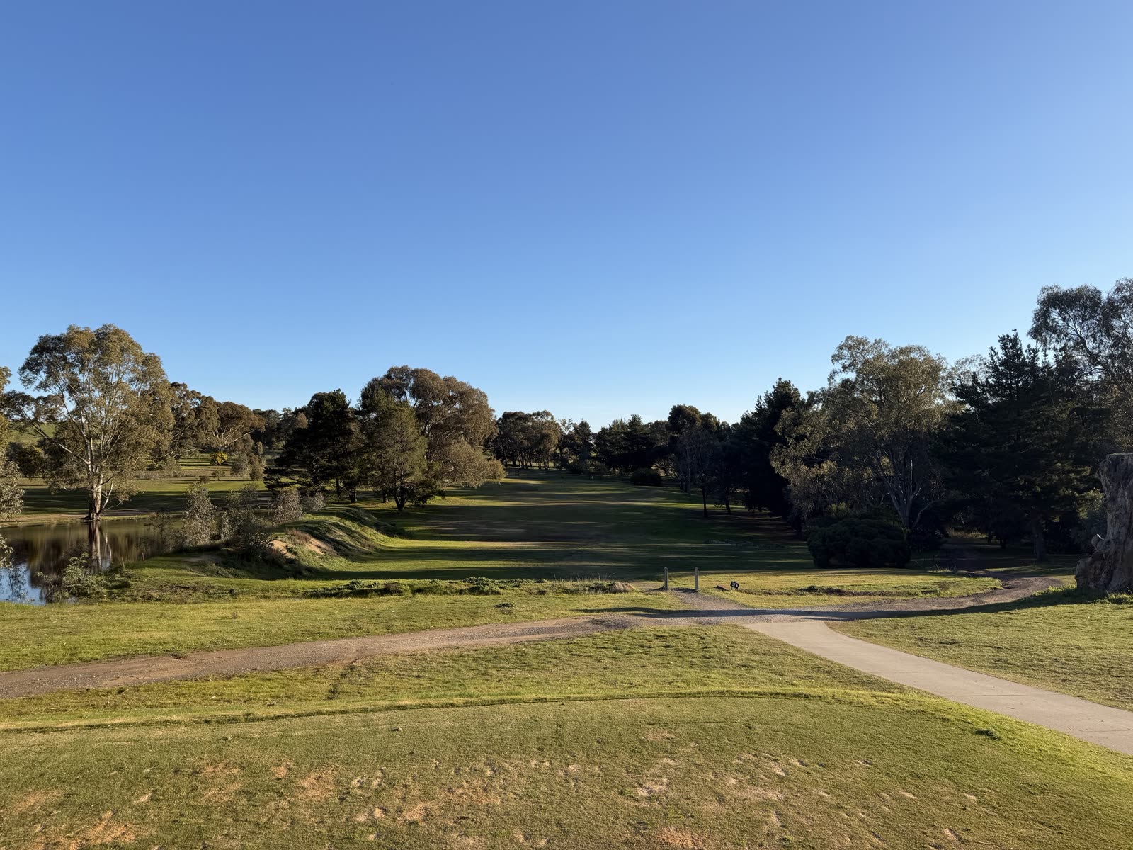 Hole 8 at Belvoir Park Golf Club.